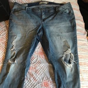 Torrid Distressed Denim Jeans 20R Boyfriend Fit